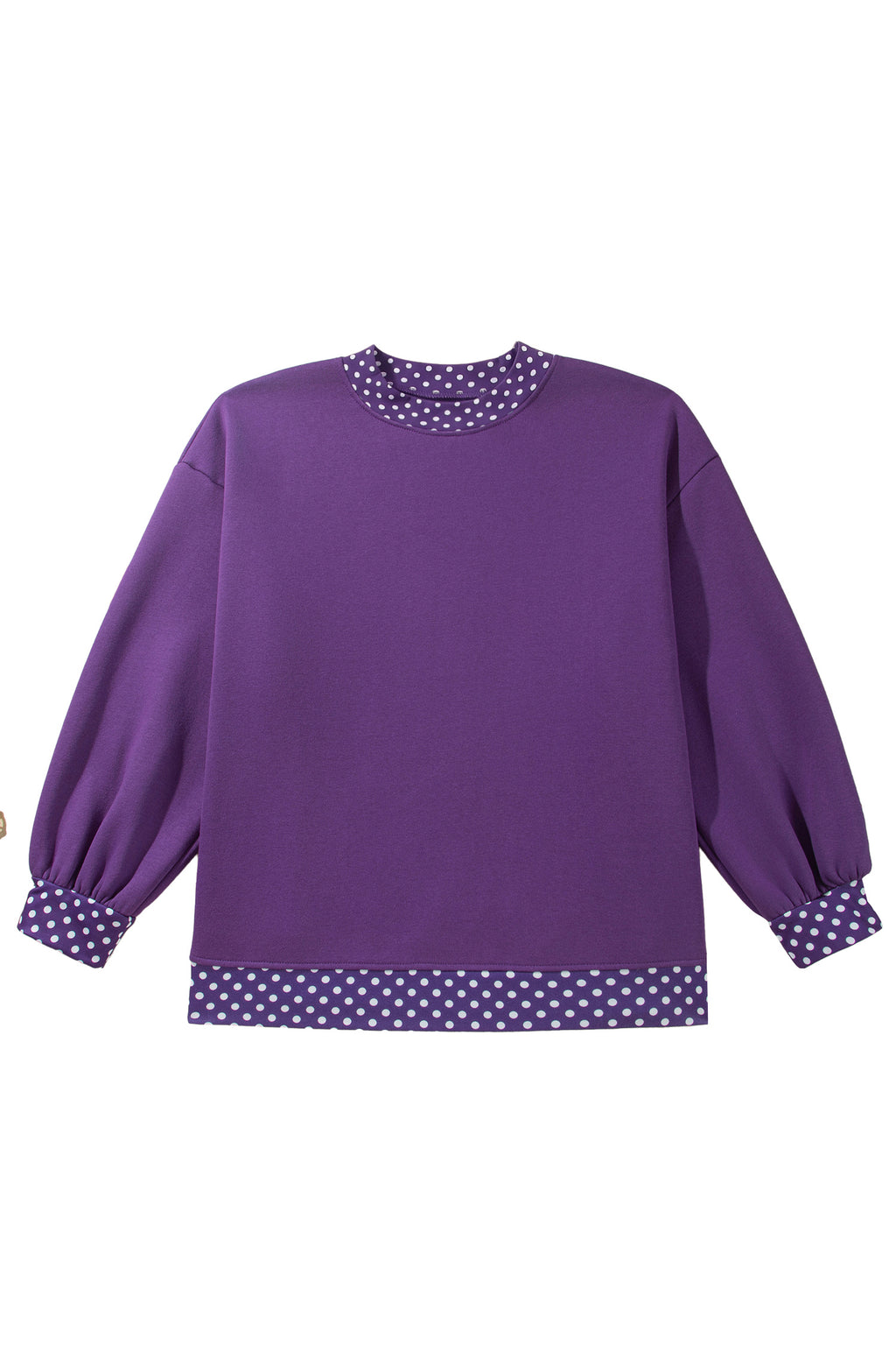 Brown Polka Dot Patchwork Round Neck Plus Size Sweatshirt