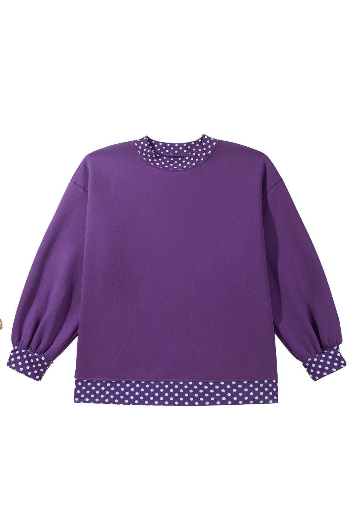 Brown Polka Dot Patchwork Round Neck Plus Size Sweatshirt